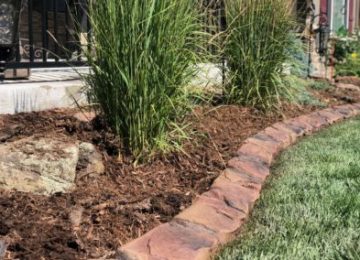 Ornamental Grasses and cement curbing