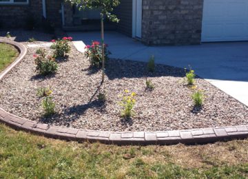 new garden with cement curbing