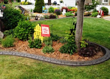 curbing bordering trees